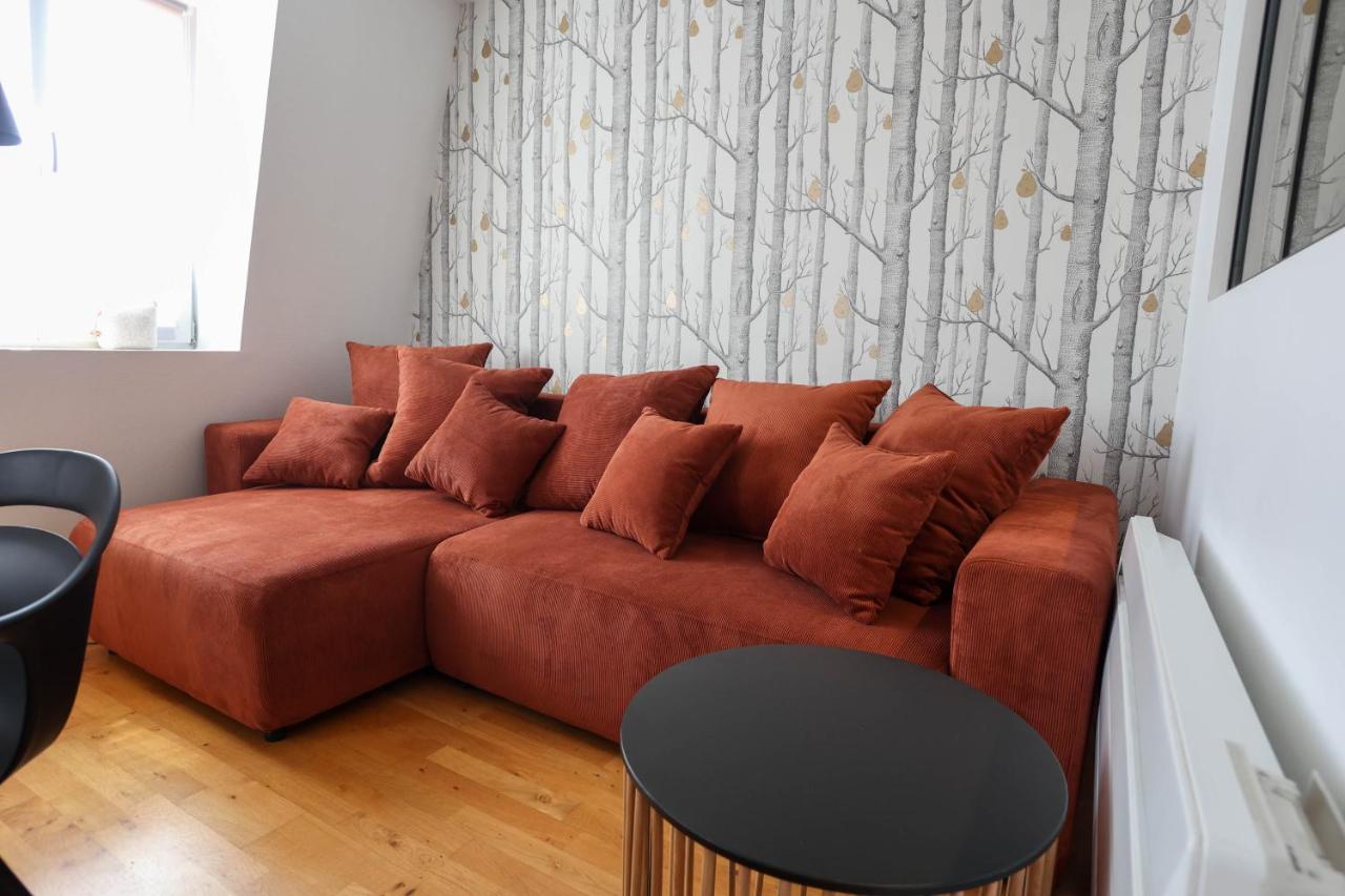 Appartement Le Verdoyant Hyper Centre Avec Sauna Et Parking 科尔马 外观 照片