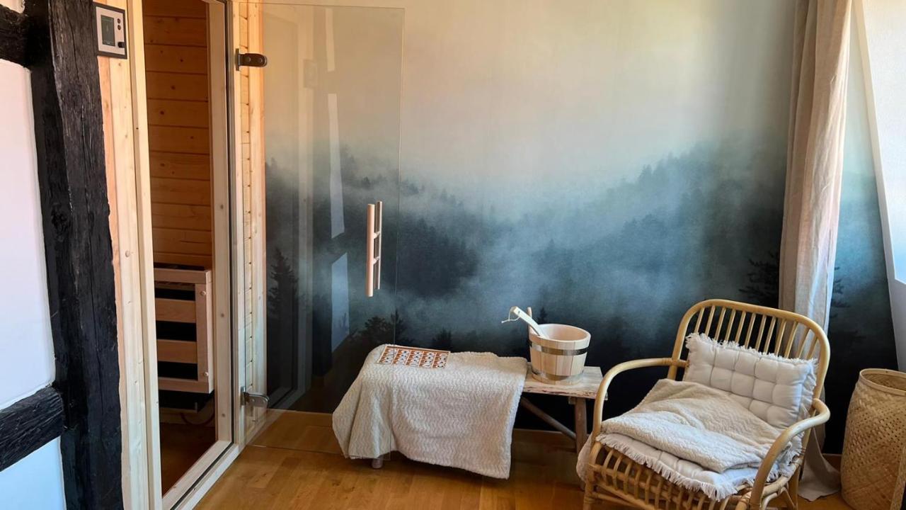 Appartement Le Verdoyant Hyper Centre Avec Sauna Et Parking 科尔马 外观 照片