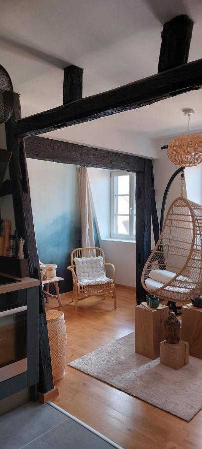 Appartement Le Verdoyant Hyper Centre Avec Sauna Et Parking 科尔马 外观 照片